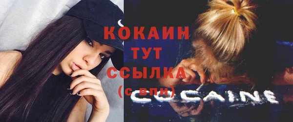 ПСИЛОЦИБИНОВЫЕ ГРИБЫ Баксан