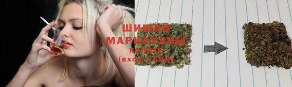 ПСИЛОЦИБИНОВЫЕ ГРИБЫ Баксан