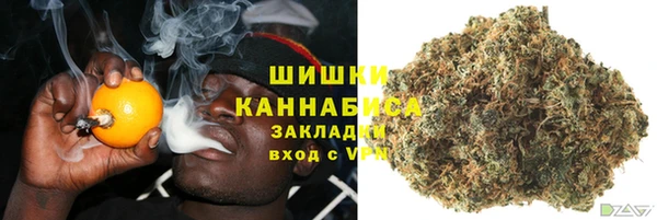 ПСИЛОЦИБИНОВЫЕ ГРИБЫ Баксан