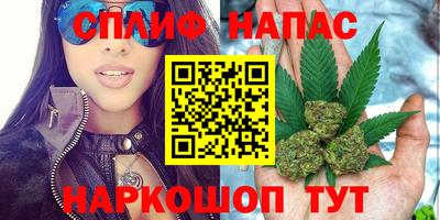 jwh Малоярославец