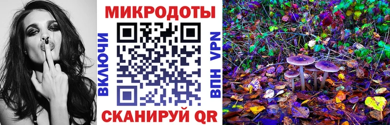 Галлюциногенные грибы Psilocybine cubensis Рыбинск