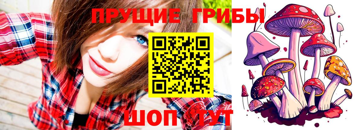 Рыбинск  Галлюциногенные грибы Psilocybine cubensis  Вход с VPN 